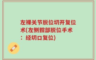 左裸关节脱位切开复位术(左侧髋部脱位手术：经切口复位)