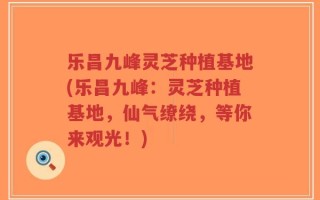 乐昌九峰灵芝种植基地(乐昌九峰：灵芝种植基地，仙气缭绕，等你来观光！)