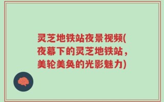灵芝地铁站夜景视频(夜幕下的灵芝地铁站，美轮美奂的光影魅力)