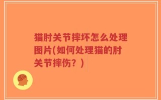 猫肘关节摔坏怎么处理图片(如何处理猫的肘关节摔伤？)