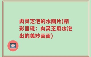肉灵芝泡的水图片(精彩呈现：肉灵芝用水泡出的美妙画面)