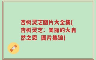 杏树灵芝图片大全集(杏树灵芝：美丽的大自然之恩  图片集锦)