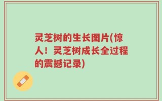 灵芝树的生长图片(惊人！灵芝树成长全过程的震撼记录)