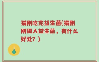 猫刚吃完益生菌(猫刚刚摄入益生菌，有什么好处？)