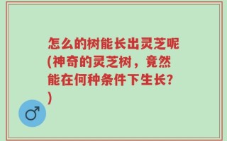 怎么的树能长出灵芝呢(神奇的灵芝树，竟然能在何种条件下生长？)