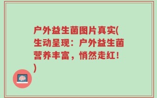 户外益生菌图片真实(生动呈现：户外益生菌营养丰富，悄然走红！)
