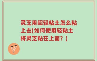 灵芝用超轻粘土怎么粘上去(如何使用轻粘土将灵芝粘在上面？)