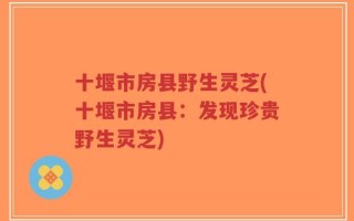 十堰市房县野生灵芝(十堰市房县：发现珍贵野生灵芝)