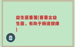 益生菌番薯(番薯含益生菌，有助于肠道健康)