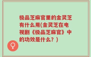 极品芝麻官里的金灵芝有什么用(金灵芝在电视剧《极品芝麻官》中的功效是什么？)