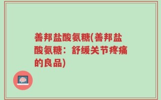 善邦盐酸氨糖(善邦盐酸氨糖：舒缓关节疼痛的良品)