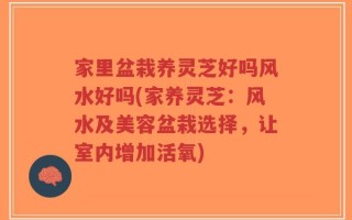 家里盆栽养灵芝好吗风水好吗(家养灵芝：风水及美容盆栽选择，让室内增加活氧)