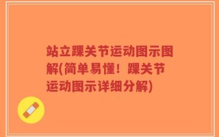 站立踝关节运动图示图解(简单易懂！踝关节运动图示详细分解)