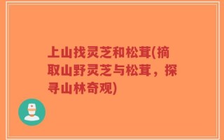 上山找灵芝和松茸(摘取山野灵芝与松茸，探寻山林奇观)