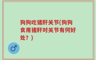 狗狗吃猪肝关节(狗狗食用猪肝对关节有何好处？)