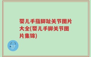 婴儿手指脚趾关节图片大全(婴儿手脚关节图片集锦)