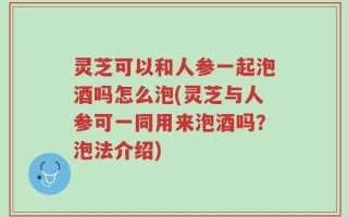 灵芝可以和人参一起泡酒吗怎么泡(灵芝与人参可一同用来泡酒吗？泡法介绍)