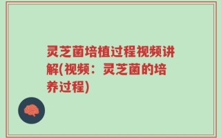 灵芝菌培植过程视频讲解(视频：灵芝菌的培养过程)