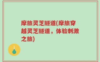 摩旅灵芝隧道(摩旅穿越灵芝隧道，体验刺激之旅)
