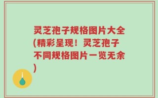 灵芝孢子规格图片大全(精彩呈现！灵芝孢子不同规格图片一览无余)