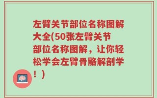 左臂关节部位名称图解大全(50张左臂关节部位名称图解，让你轻松学会左臂骨骼解剖学！)