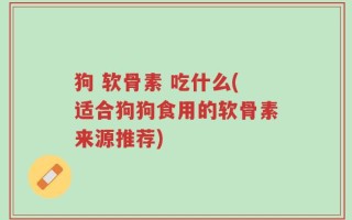 狗 软骨素 吃什么(适合狗狗食用的软骨素来源推荐)