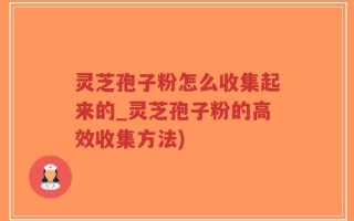 灵芝孢子粉怎么收集起来的_灵芝孢子粉的高效收集方法)