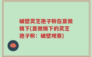 破壁灵芝孢子粉在显微镜下(显微镜下的灵芝孢子粉：破壁观察)