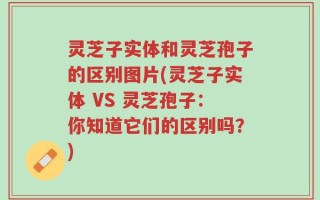 灵芝子实体和灵芝孢子的区别图片(灵芝子实体 VS 灵芝孢子：你知道它们的区别吗？)