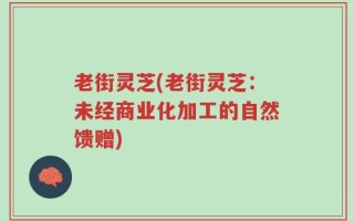 老街灵芝(老街灵芝：未经商业化加工的自然馈赠)