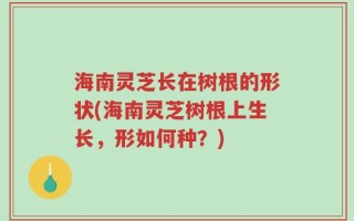 海南灵芝长在树根的形状(海南灵芝树根上生长，形如何种？)