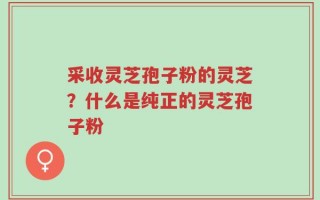 采收灵芝孢子粉的灵芝？什么是纯正的灵芝孢子粉