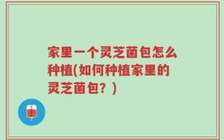 家里一个灵芝菌包怎么种植(如何种植家里的灵芝菌包？)