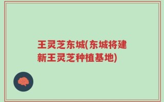 王灵芝东城(东城将建新王灵芝种植基地)