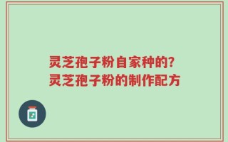 灵芝孢子粉自家种的？灵芝孢子粉的制作配方