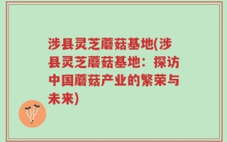 涉县灵芝蘑菇基地(涉县灵芝蘑菇基地：探访中国蘑菇产业的繁荣与未来)