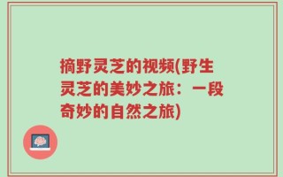 摘野灵芝的视频(野生灵芝的美妙之旅：一段奇妙的自然之旅)