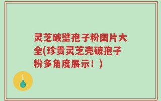 灵芝破壁孢子粉图片大全(珍贵灵芝壳破孢子粉多角度展示！)
