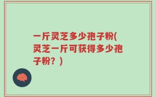 一斤灵芝多少孢子粉(灵芝一斤可获得多少孢子粉？)