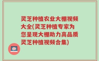 灵芝种植农业大棚视频大全(灵芝种植专家为您呈现大棚助力高品质灵芝种植视频合集)