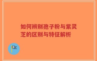 如何辨别孢子粉与紫灵芝的区别与特征解析