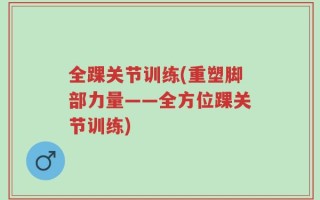 全踝关节训练(重塑脚部力量——全方位踝关节训练)