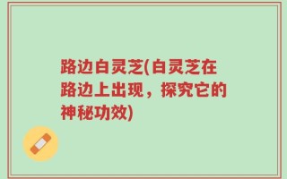 路边白灵芝(白灵芝在路边上出现，探究它的神秘功效)