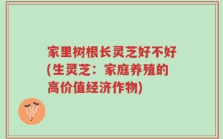 家里树根长灵芝好不好(生灵芝：家庭养殖的高价值经济作物)