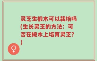 灵芝生椴木可以栽培吗(生长灵芝的方法：可否在椴木上培育灵芝？)