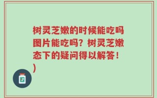 树灵芝嫩的时候能吃吗图片能吃吗？树灵芝嫩态下的疑问得以解答！)