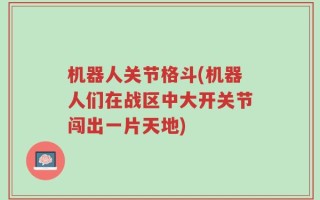 机器人关节格斗(机器人们在战区中大开关节闯出一片天地)