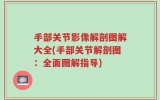 手部关节影像解剖图解大全(手部关节解剖图：全面图解指导)