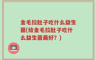 金毛拉肚子吃什么益生菌(给金毛拉肚子吃什么益生菌最好？)