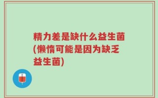 精力差是缺什么益生菌(懒惰可能是因为缺乏益生菌)